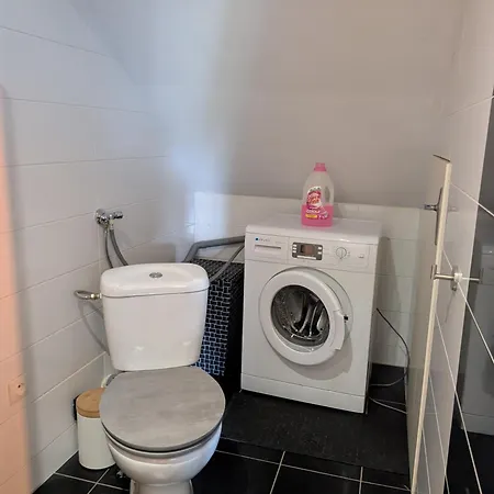 Apartment Au Jardin Des Pies Woustviller