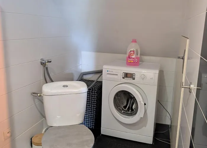 Apartamento Au Jardin Des Pies Woustviller